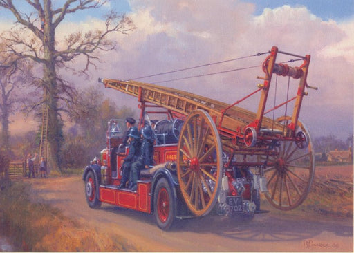 Robin Pinnock - View To A Thrill - Dennis Fire Engine