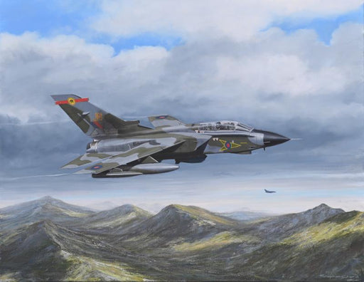 Tornado Pair - Panavia Tornado - 27 Squadron