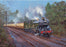 John Austin - The Cathedrals Express - 7005 Sir Edward Elgar (w)