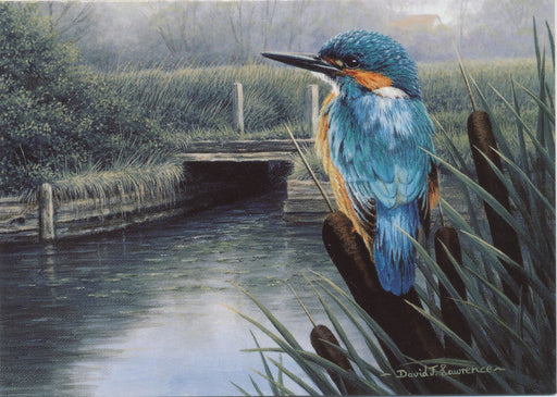 David Lawrence - Moses - Kingfisher British Bird Greetings Birthday Card