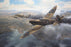 Breakthrough Victory - Supermarine Spitfire Mk.Vc