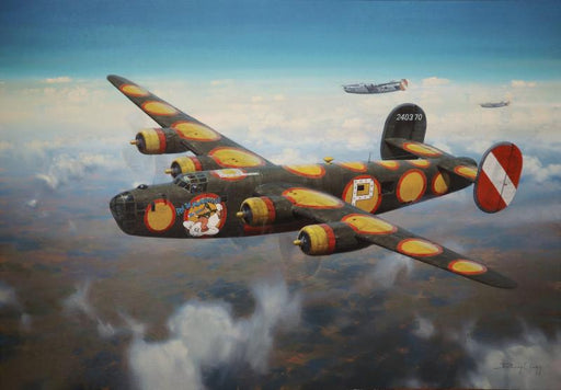 Pete The POM Inspector - Consolidated B-24 Liberator