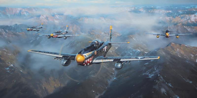 Was That Too Fast - F-51D Mustang