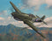 Taylor's Warhawk - Curtiss P-40B Warhawk