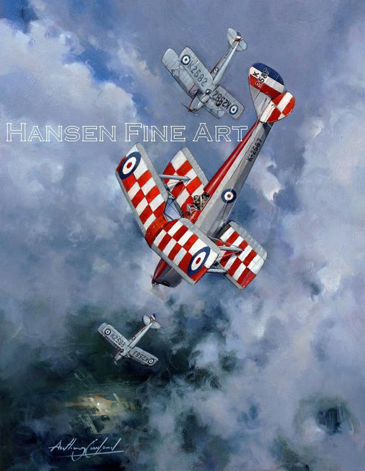 Down to Earth - de Havilland Tiger Moth Original Painting