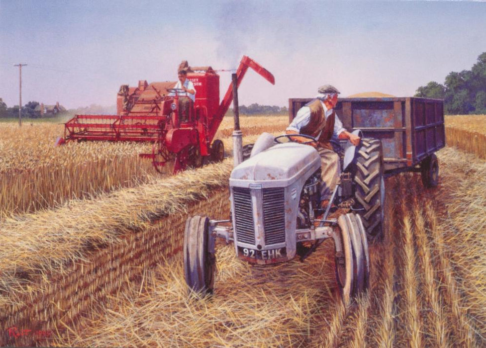 Corn For Harvesting - Ferguson 780 Tractor Blank Birthday Greetings Card
