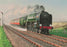 Nick Hardcastle - Oliver Cromwell - 70013
