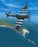 Flight of a Lifetime - Supermarine Spitfire Mk.IX TR.9