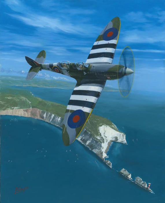 Flight of a Lifetime - Supermarine Spitfire Mk.IX TR.9