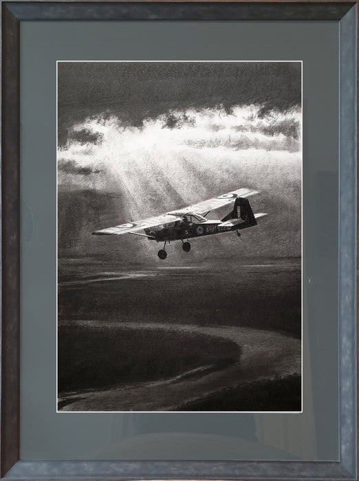 Spotting - Auster AOP Original Charcoal Drawing