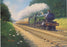 Great Western Style - 2922 Saint Gabriel Birthday Greetings Card