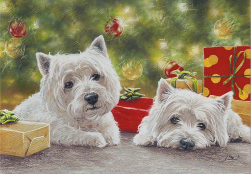 Paul Doyle - Christmas Treat - West Highland Terrier Westie