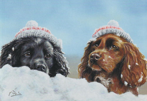 Paul Doyle - Cocker Beanies - Cocker Spaniels