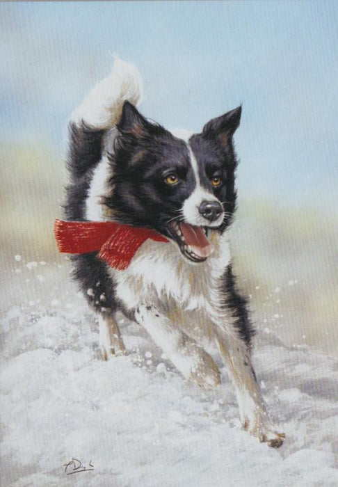 Paul Doyle - Taking A Day Off - Collie