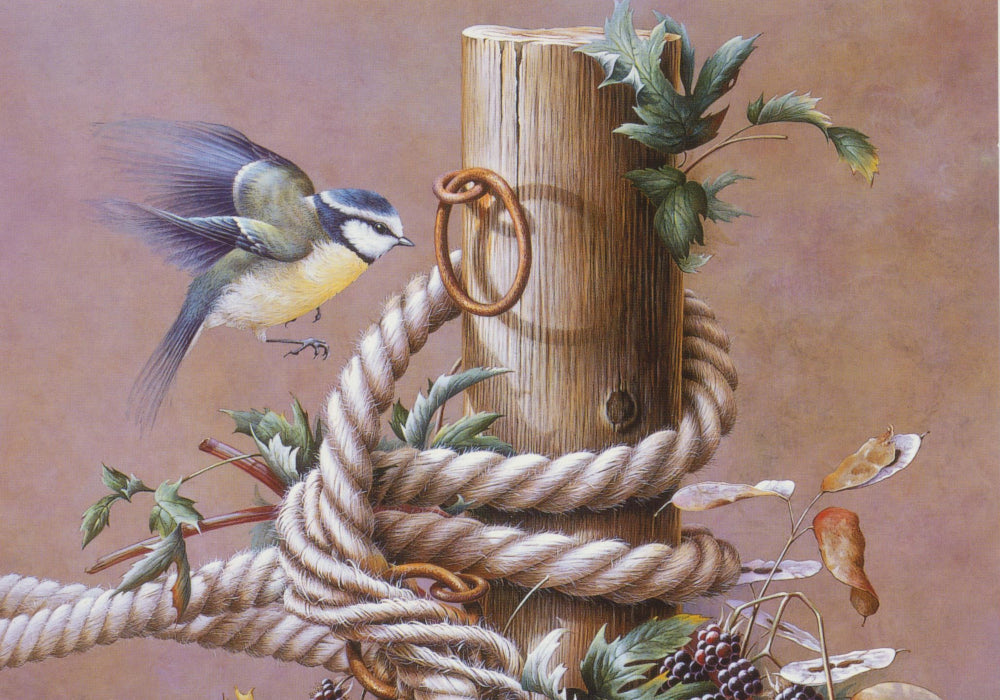 Sonia Marshall - Entwined Blue Tit British Bird Greetings Birthday Card