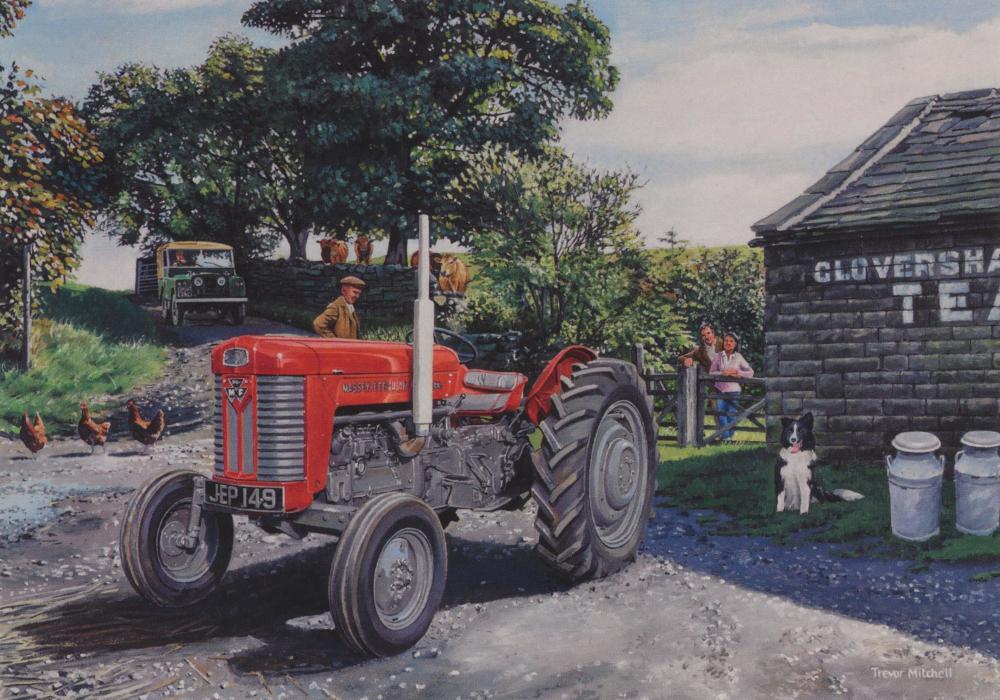 Trevor Mitchell - Red Fergie- Massey-Ferguson 65