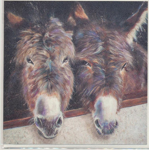 Bevley Madley - Stable Companions - Donkey