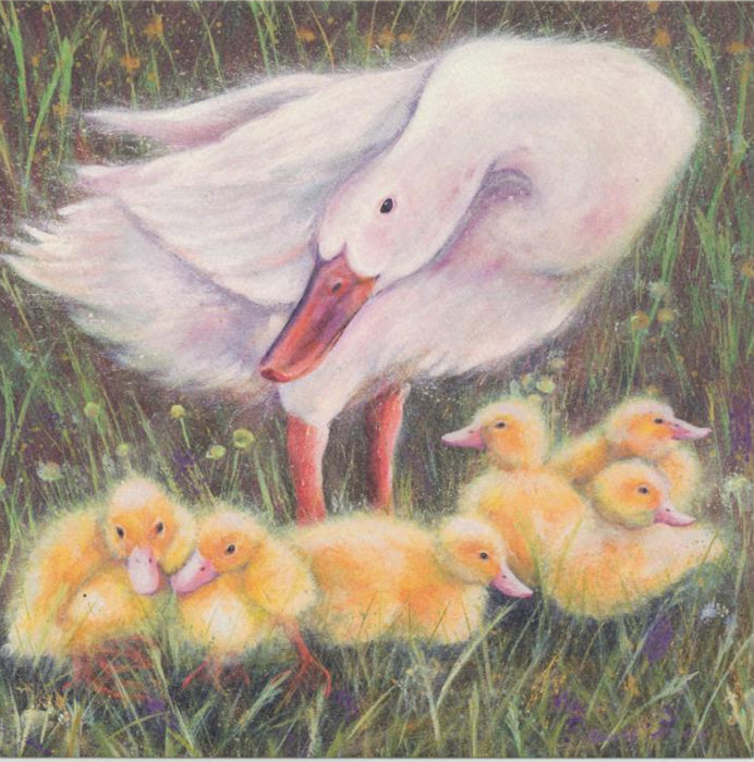 Bevley Madley - Demelza's brood - Duck and Ducklings