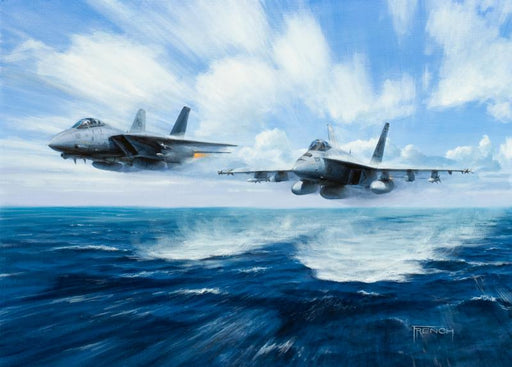 The Need For Speed - F-14 Tomcat F/A-18 Super Hornet