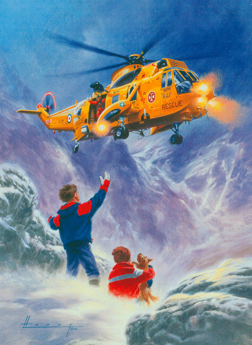 Wilfred Hardy GAvA - Lost and Found - Westland Sea King (W)