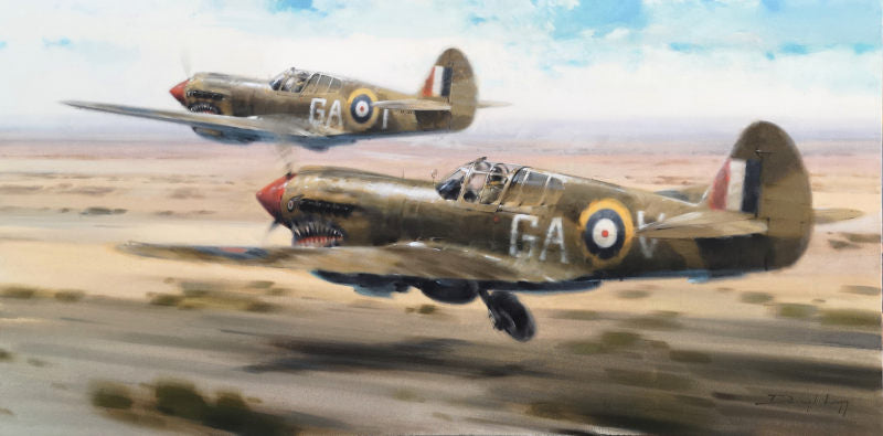 Curtiss Kittyhawk 112 Squadron Aviation Art Limited Edition Print by ...