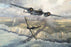 Combat Over The Channel  - Dornier Do 17 and Hawker Hurricane
