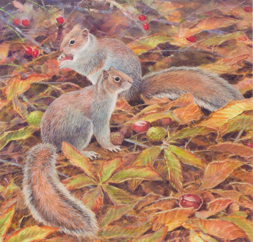 Neil Cox - Grey Squirrels British Wildlife Card