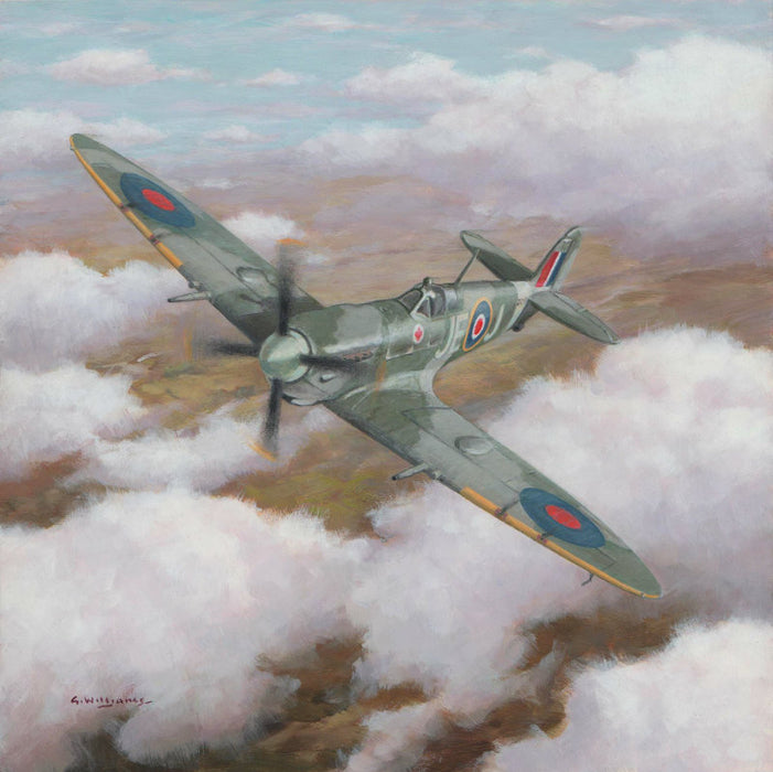 JE-J - Supermarine Spitfire Mk.IX