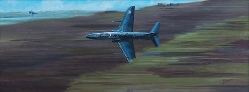 Down South Jukin - BAe Hawk Original Painting