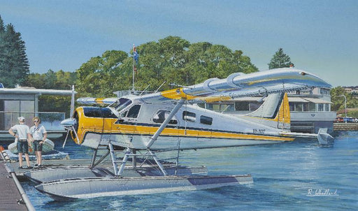 Beaver In Rose Bay - de Havilland Beaver DHC-2