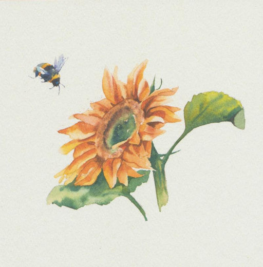 Rachel Toll - Bee and Sunflower British Wildlife Card