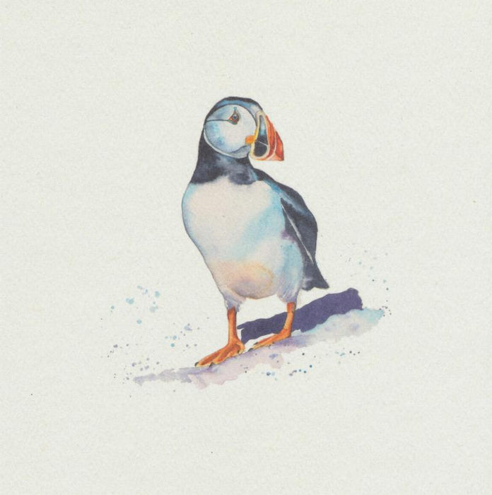 Rachel Toll - Puffin British Bird Card