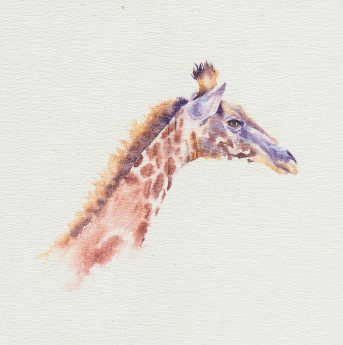 Rachel Toll - Giraffe African Wildlife Card