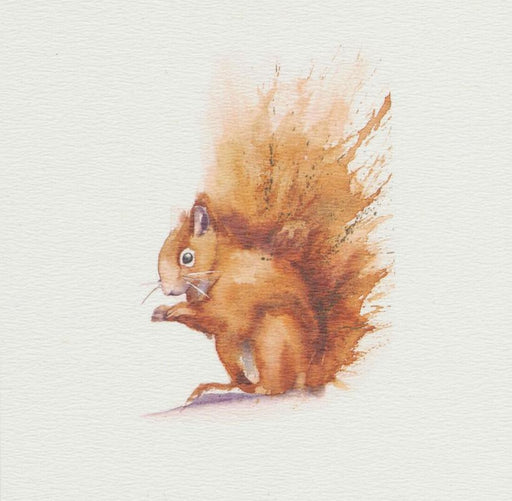Rachel Toll - Red Squirrel British Wildlife Card