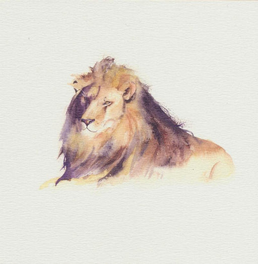 Rachel Toll - Lion African Wildlife Card