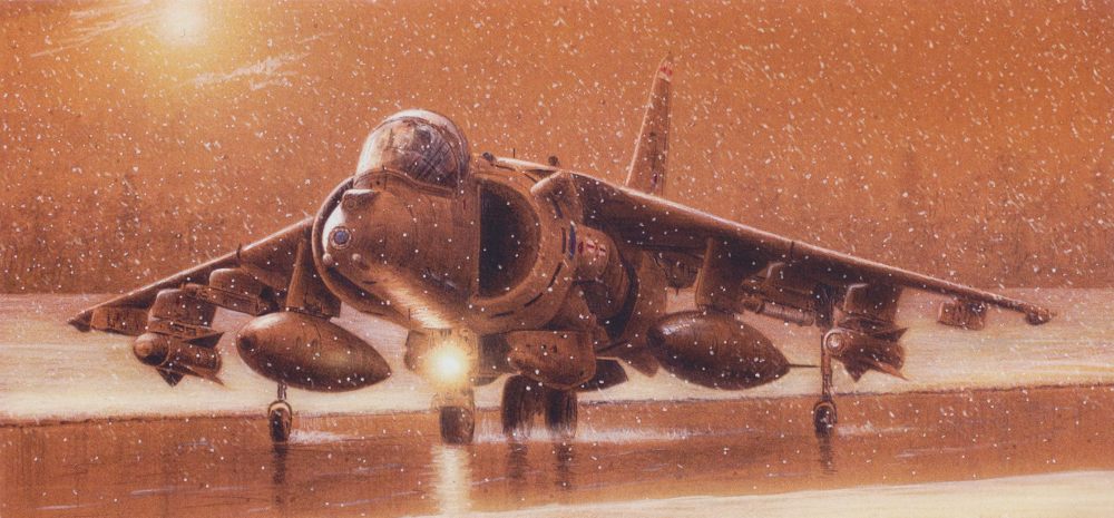 Stephen Brown - Harrier in the Snow