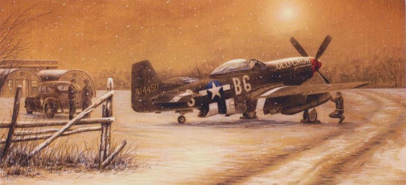 Stephen Brown - Mustang In The Snow