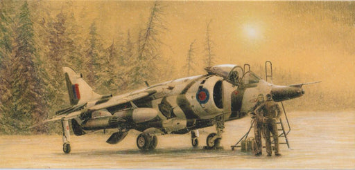 Stephen Brown - Arctic Harrier - BAe Harrier