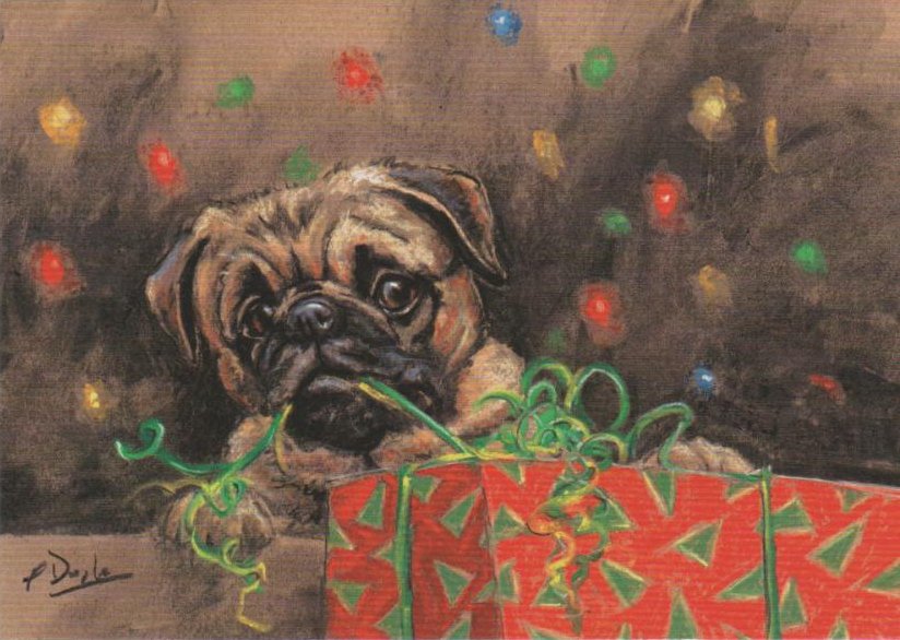 Paul Doyle - Christmas Box - Pug