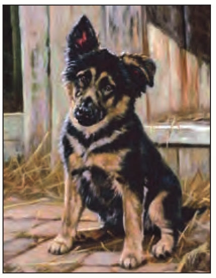 Listen and Learn - German Shepherd Dog