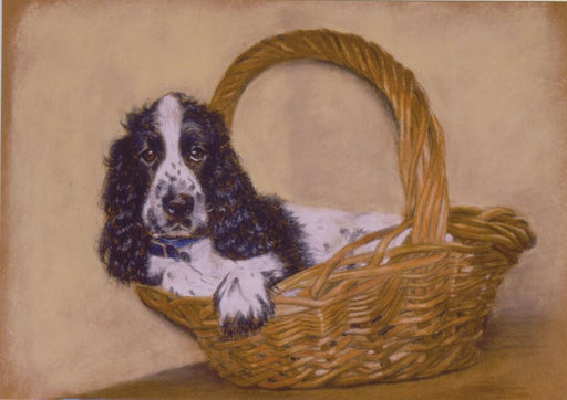 Debbie Gillingham - Packed and Ready - Cocker Spaniel
