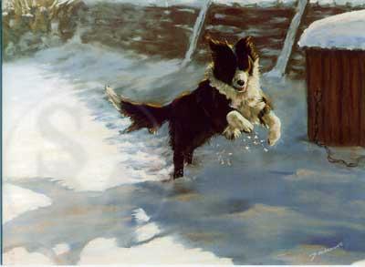 Border Collie Christmas Card - Blank Art Card by Julie Ainsworth ...
