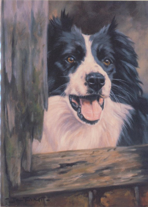 John Trickett- Ready For The Day - Border Collie