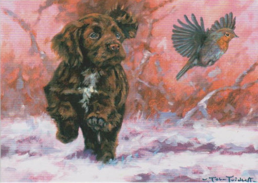 John Trickett - Cock Robin - Cocker Spaniel