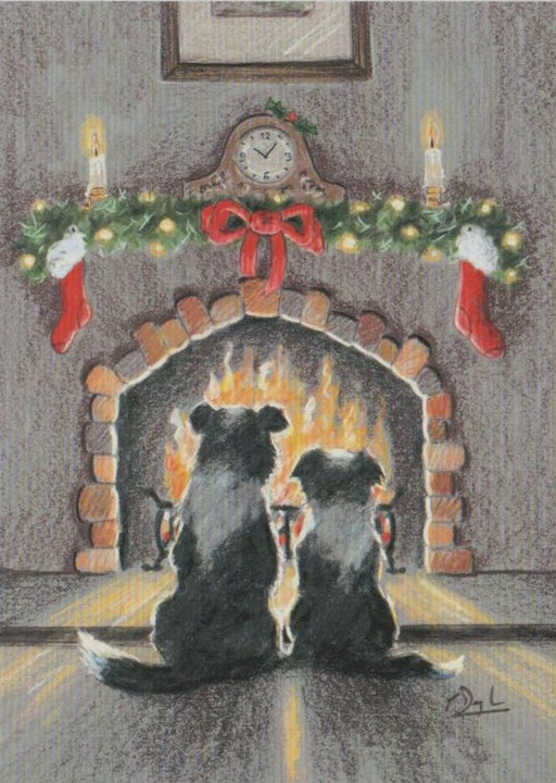 Paul Doyle - Winter Warmer - Border Collie