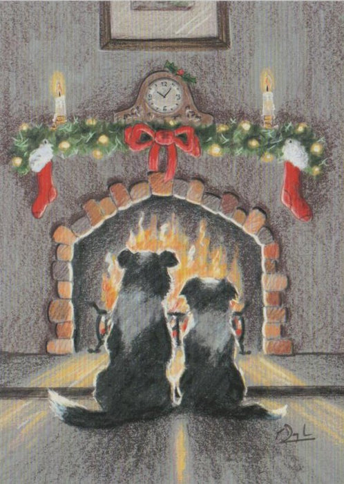 Paul Doyle - Winter Warmer - Border Collie