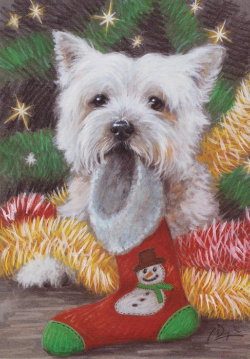 Paul Doyle - Great Expectations - Westie