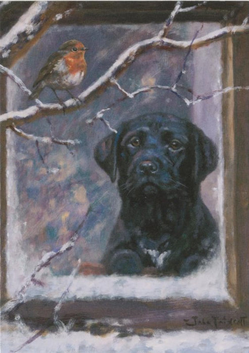 John Trickett - Christmas Dreams - Black Labrador