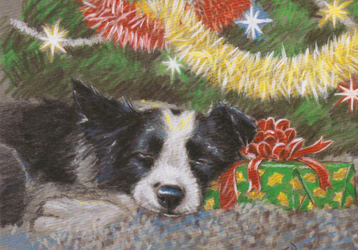 Paul Doyle - Sweet Dreams - Border Collie