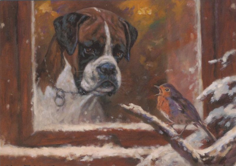 John Trickett - Curiosity - Boxer